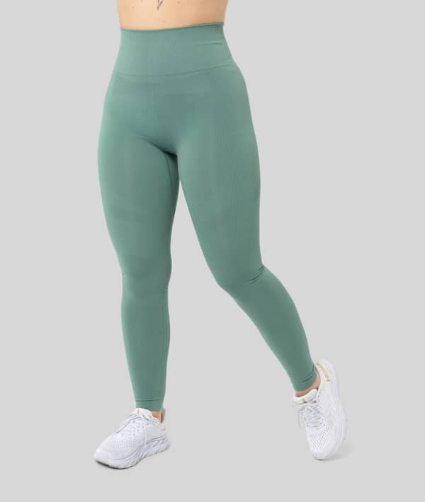 Sculpt Seamless Leggings